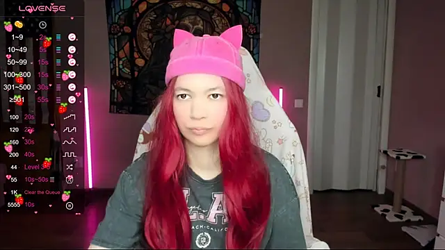 Project hisoka online show from January 17, 2:29 am