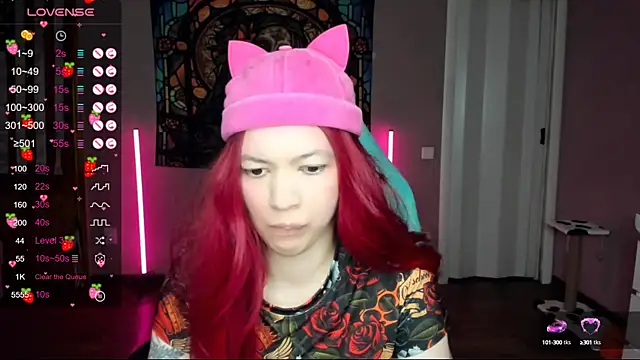 Project hisoka online show from February 24, 1:21 pm