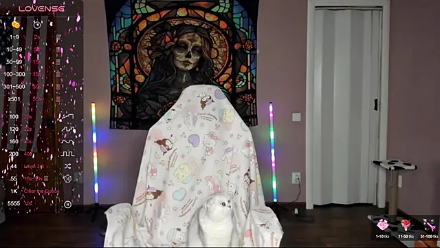 Project hisoka online show from March 9, 11:58 am