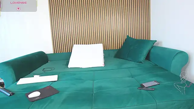 Snapshot of SofiaHanson chatting on February 8, 12:08 pm SofiaHanson online show from February 8, 12:08 pm