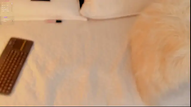 Snapshot of FabianPriince chatting on January 14, 6:28 pm FabianPriince online show from January 14, 6:28 pm