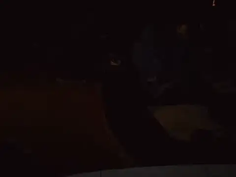 Snapshot of 0815lukas2024 chatting on January 16, 6:59 pm 0815lukas2024 online show from January 16, 6:59 pm