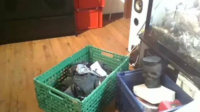 Snapshot of 0815lukas2024 chatting on January 16, 11:59 pm 0815lukas2024 online show from January 16, 11:59 pm