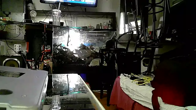 Snapshot of 0815lukas2024 chatting on November 3, 5:03 pm 0815lukas2024 online show from November 3, 5:03 pm