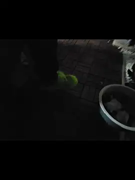 Snapshot of 0815lukas2024 chatting on November 16, 11:54 pm 0815lukas2024 online show from November 16, 11:54 pm