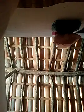 luissilva0071 online show from February 24, 12:25 pm