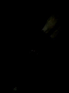 Snapshot of Tamil_boy_age28 chatting on February 20, 6:46 pm Tamil boy age28 online show from February 20, 6:46 pm