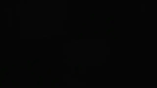 guy master online show from December 7, 2:09 am