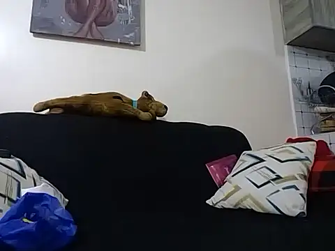 Snapshot of hoely_grail01 chatting on December 5, 7:54 pm hoely grail01 online show from December 5, 7:54 pm