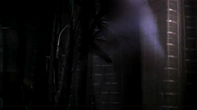 Snapshot of funguybr36 chatting on September 19, 11:00 am funguybr36 online show from September 19, 11:00 am