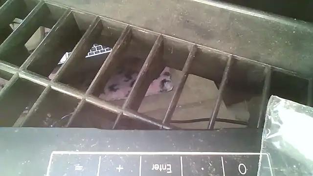 allissonw13 online show from October 23, 8:46 am