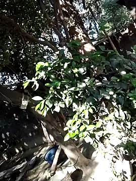 Hot-rubina online show from March 6, 3:57 am