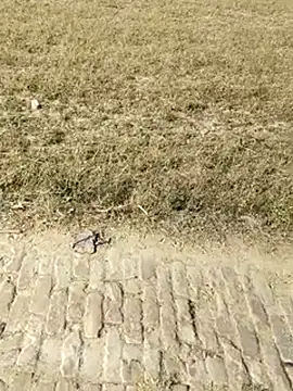 Hot-rubina online show from April 11, 10:41 am