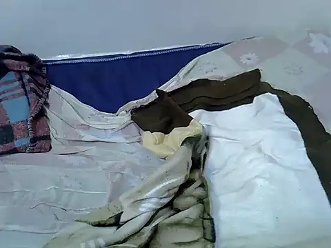 pointy bloom online show from December 14, 10:20 am