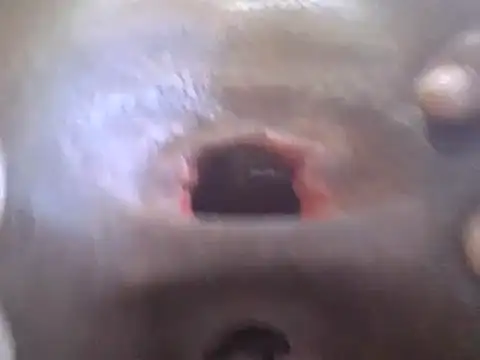 petitev online show from January 2, 4:41 am