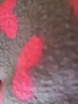 Noviostoxico online show from January 15, 2:10 pm