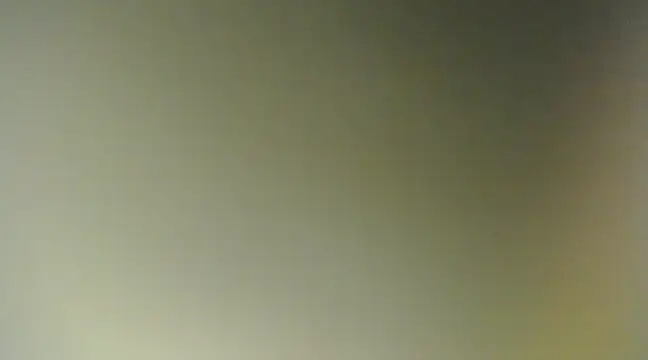 Lovensetest online show from March 11, 11:55 am