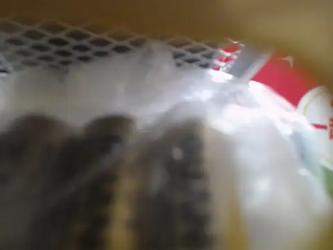 Lovensetest online show from October 10, 3:05 am