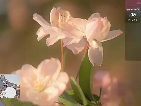 Lovensetest online show from October 22, 7:19 am