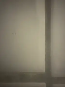 Snapshot of orient_zob chatting on February 19, 12:39 am orient zob online show from February 19, 12:39 am