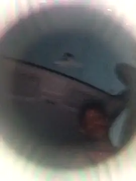 Snapshot of Ursonego chatting on October 3, 10:07 pm Ursonego online show from October 3, 10:07 pm