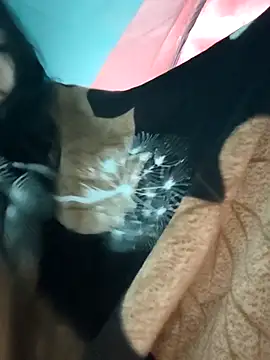 Snapshot of Angel_Anamika chatting on November 26, 12:22 am Angel Anamika online show from November 26, 12:22 am