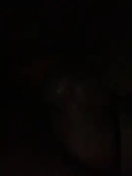 Snapshot of ThickD619 chatting on December 11, 12:23 pm ThickD619 online show from December 11, 12:23 pm