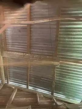 Snapshot of phola12 chatting on February 27, 7:47 pm phola12 online show from February 27, 7:47 pm