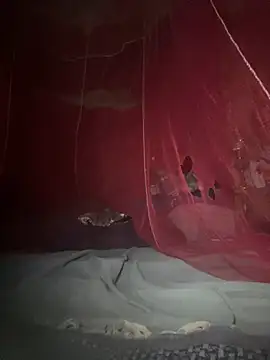 amy gata online show from February 17, 8:55 am