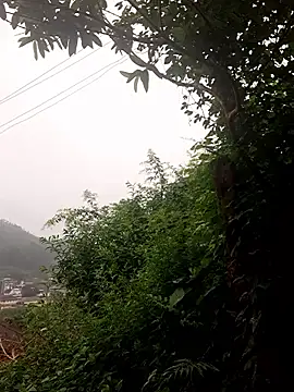 lustforlife9622 online show from December 3, 4:09 am