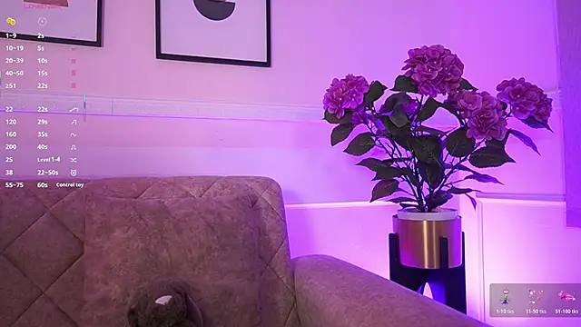 Anybuny online show from February 4, 11:38 am