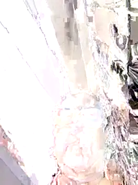 amaranta c online show from November 10, 12:04 pm