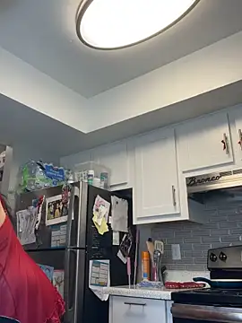 Snapshot of SafeinouterSpace chatting on February 19, 6:26 pm SafeinouterSpace online show from February 19, 6:26 pm