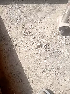 Kurtsikicixh online show from October 21, 9:32 am