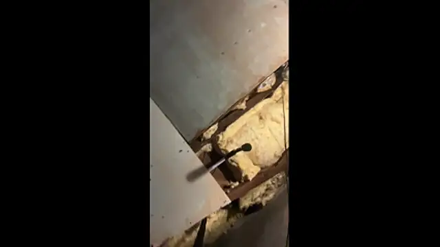 Manwhorxxlcock online show from March 3, 10:32 am