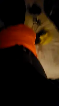 007Giovani online show from December 23, 1:25 am