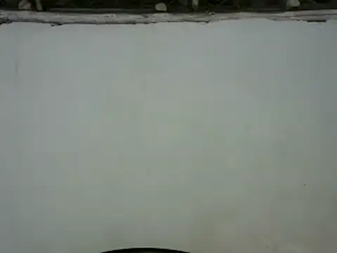 michel sc online show from January 30, 8:43 am