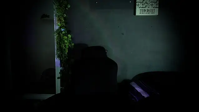 newjeff online show from November 18, 11:25 am