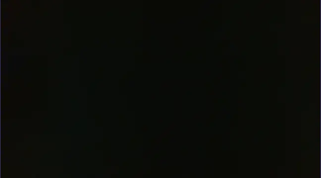 Snapshot of Geisha_Seniers chatting on January 14, 3:15 pm Geisha Seniers online show from January 14, 3:15 pm