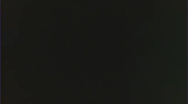 Snapshot of Geisha_Seniers chatting on February 15, 2:22 pm Geisha Seniers online show from February 15, 2:22 pm