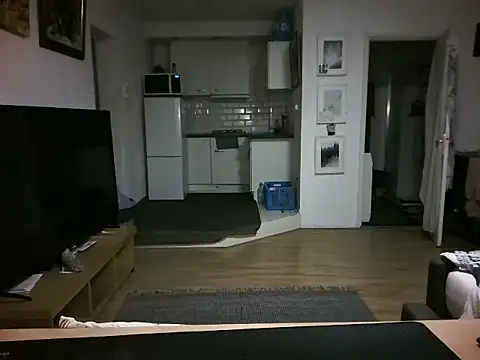 mihaimichael online show from April 16, 10:45 pm