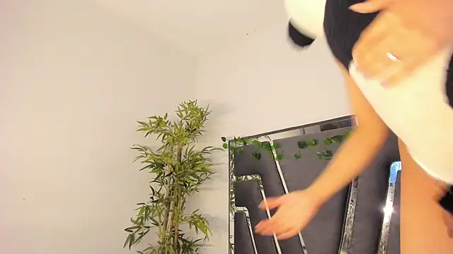 Black Rose2 online show from February 8, 11:44 am