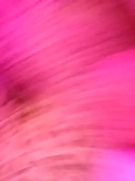 AvaChannel online show from December 20, 10:55 am