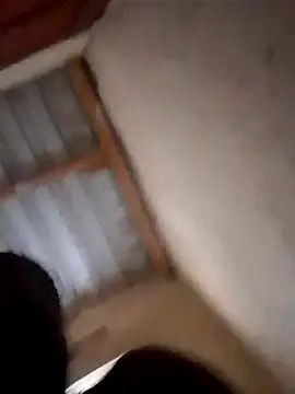 Snapshot of bogbosdick chatting on September 16, 7:53 am bogbosdick online show from September 16, 7:53 am