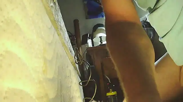 pipeload1275 online show from November 26, 7:31 am