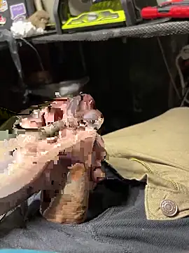 joeycbigcock online show from November 26, 10:22 pm