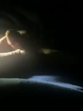 joeycbigcock online show from April 22, 2:25 am