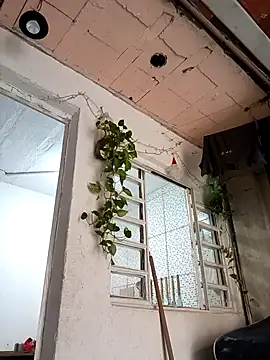 Brasilsexxx online show from December 18, 2:45 pm