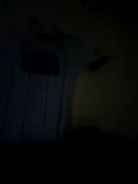 Snapshot of everyoneneeds chatting on December 3, 12:46 am everyoneneeds online show from December 3, 12:46 am