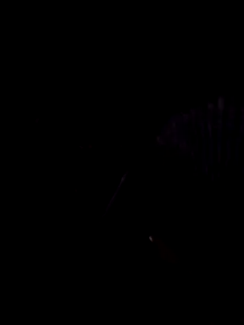 StaciGoodman online show from February 1, 1:44 am